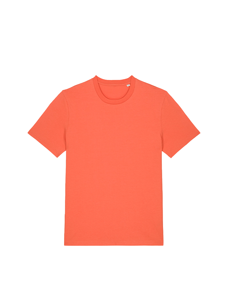 Tshirt manches courtes unisexe sttu169 fiesta article